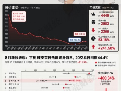 配資之家論壇：宇樹科技上市滿月，市值蒸發超2300億元