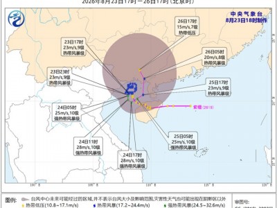 “四臺風共舞”或出現，本周廣東將有暴雨！今年臺風為何偏多？