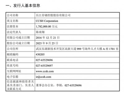 從全年虧損191億到單季盈利333億 長存控股招股書全拆解