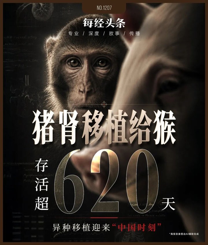 豬腎移植到猴身上，存活超620天刷新紀錄，異種器官移植迎來“中國時刻” | 每經網
